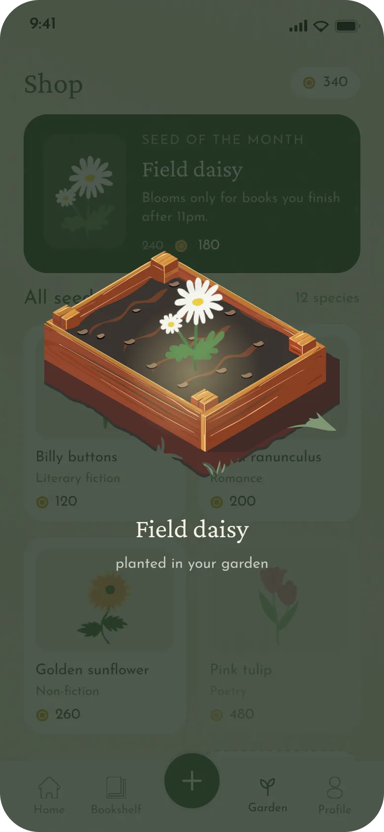 The field daisy planted in the garden